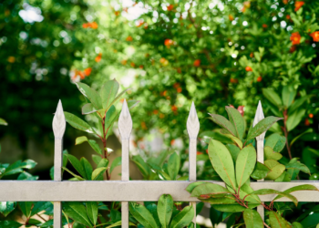 Grundlage der Gartengestaltung sind