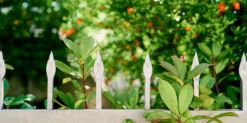 Grundlage der Gartengestaltung sind