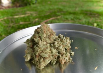 Cannabis und Lebensstil