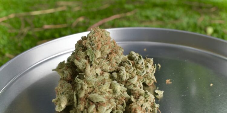 Cannabis und Lebensstil