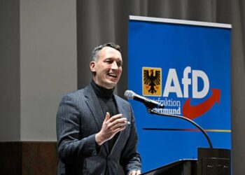 Matthias Helferich AfD