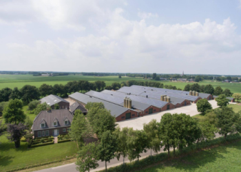 Hallendach erneuern und isolieren: Moderne Lösungen für mehr Energieeffizienz