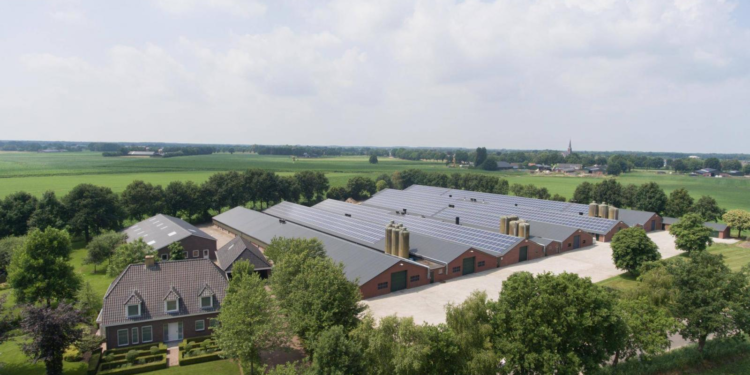 Hallendach erneuern und isolieren: Moderne Lösungen für mehr Energieeffizienz