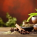 Ayurvedische Ernährung im stressigen Alltag: Wann Nahrungsergänzungsmittel sinnvoll sein können