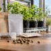 Seedbank